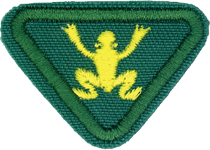 Swimmer I